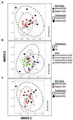 The Transcriptional Response of Soil Bacteria to Long-Term Warming and Short-Term Seasonal Fluctuations in a Terrestrial Forest